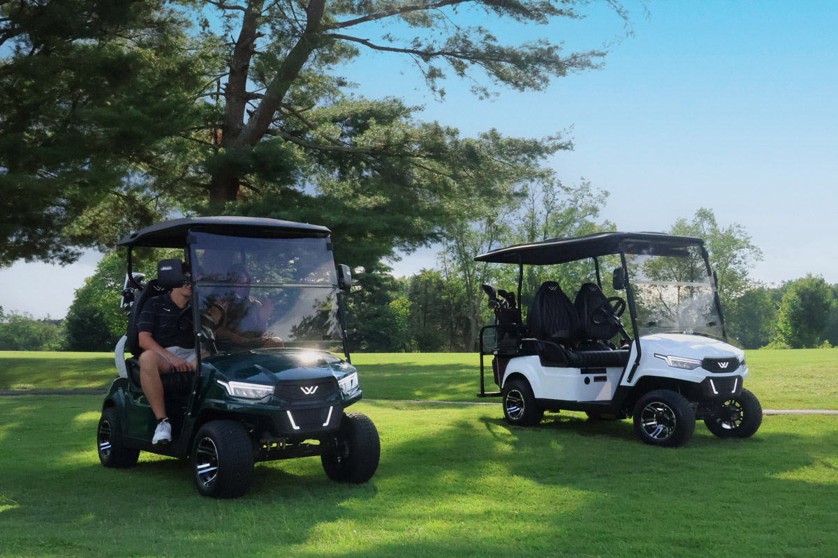 Electric golf carts Golf series