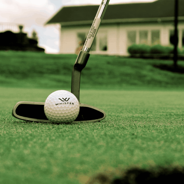 Titliest Pro VI Whisper Golf Balls - Box of Dozen - Image 2